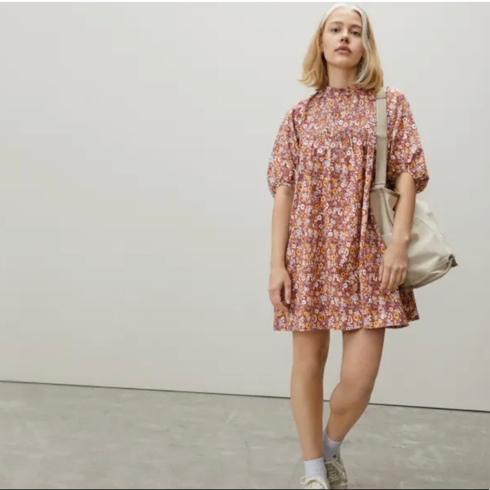 Everlane - The Shirred Mini Dress